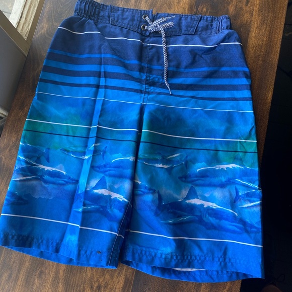 Boys Swim Trunks - Picture 2 of 2